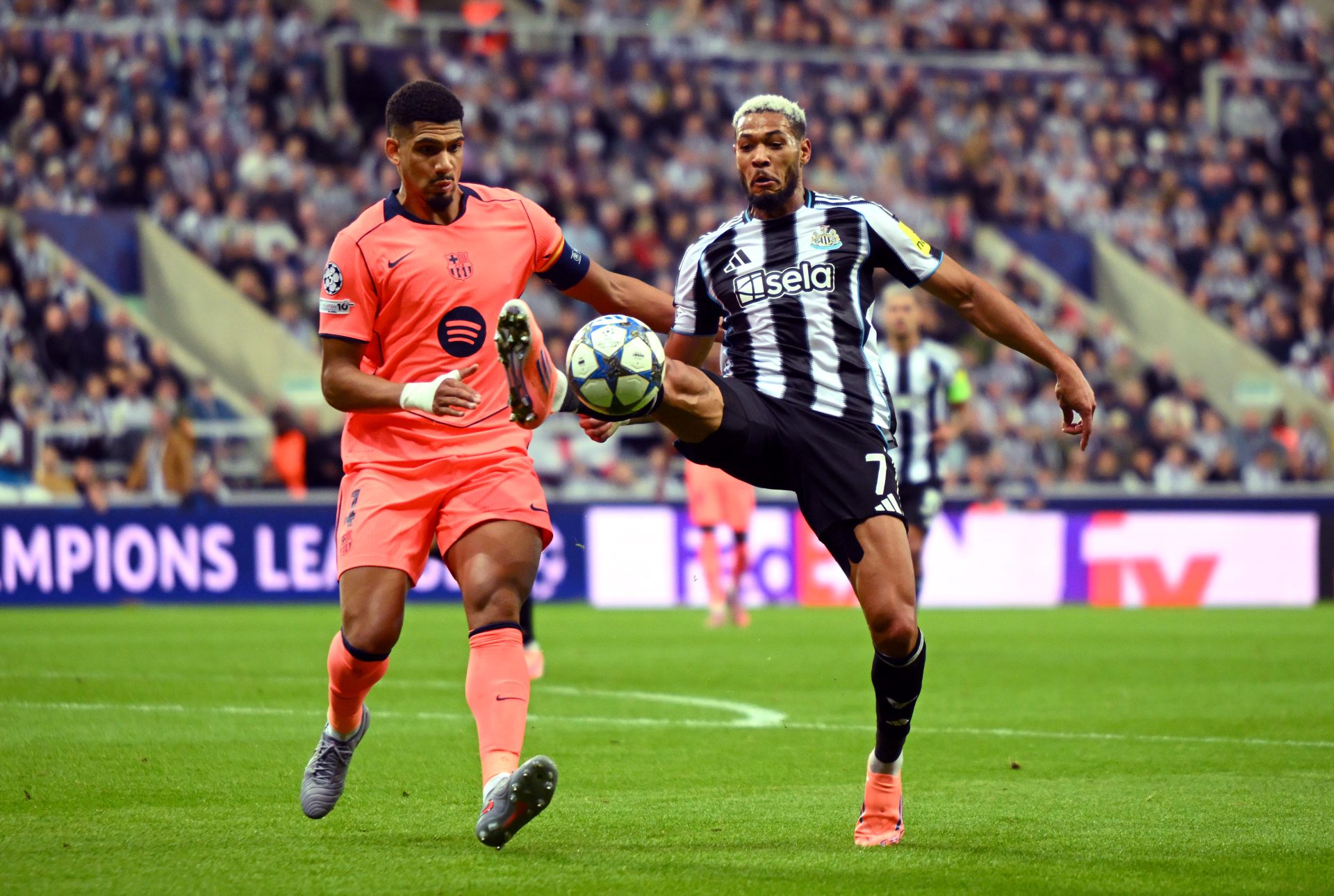 pronostico-barcelona-vs-newcastle-champions-league